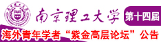 大鸡巴猛插嫩逼视频南京理工大学第十四届海外青年学者紫金论坛诚邀海内外英才！